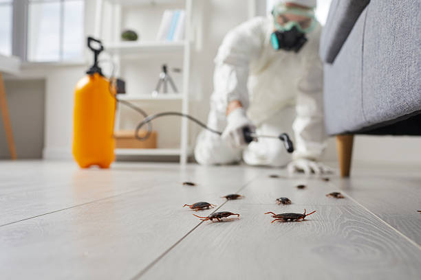 Commercial Kitchen Cockroach Control in Magna